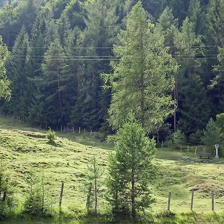 Pillersee 1 *